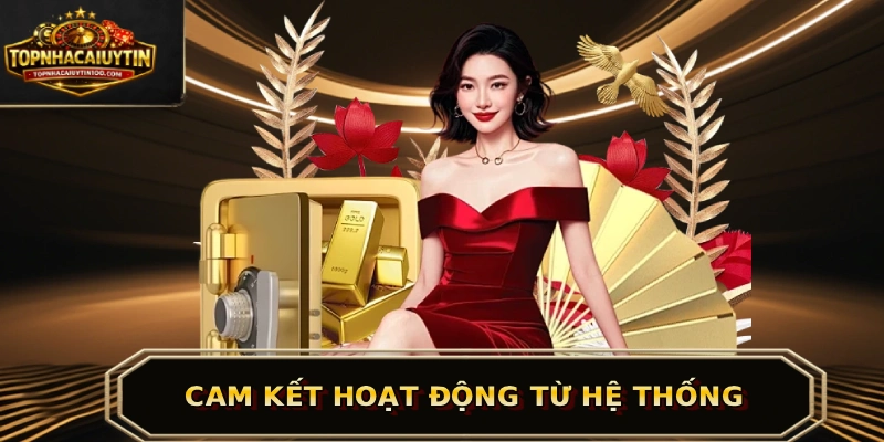 Cam kết hoạt động từ hệ thống