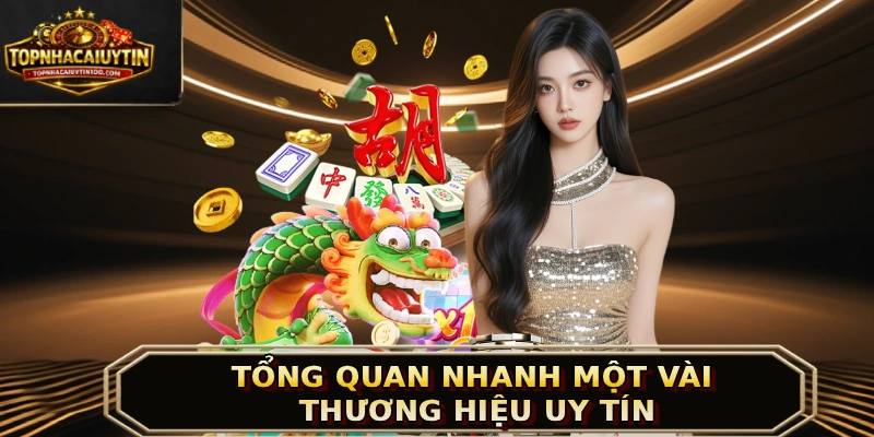 Tổng quan nhanh một vài thương hiệu uy tín